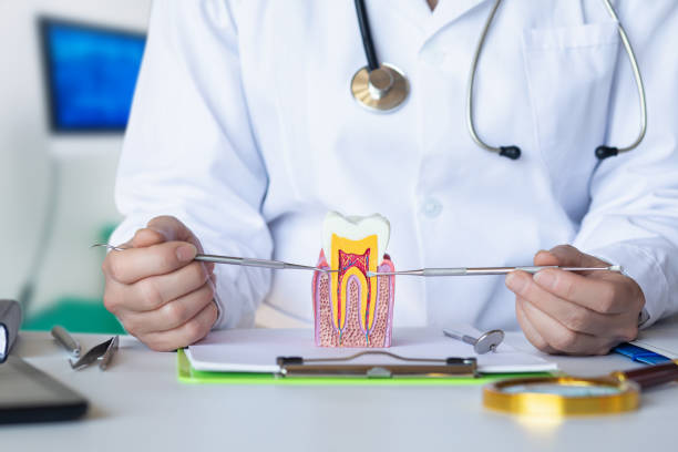 Best Dentist for Tooth Abscess  in Rock Hill, NY